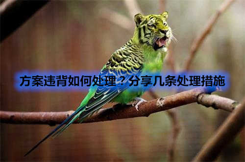 方案違背如何處理？分享幾條處理措施(圖1)