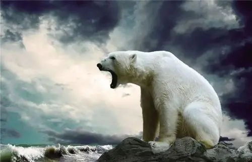 第二類醫(yī)療器械生產(chǎn)許可證很難申請(qǐng)嗎？(圖1)