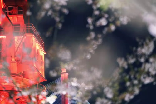 CRC喜歡和什么樣的CRA合作？(圖1)