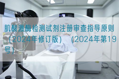 肌酸激酶檢測試劑注冊審查指導原則（2024年修訂版）（2024年第19號）(圖1)