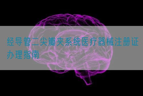 經(jīng)導(dǎo)管二尖瓣夾系統(tǒng)醫(yī)療器械注冊(cè)證辦理指南(圖1)
