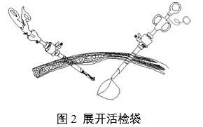 一次性使用內窺鏡用活檢袋注冊審查指導原則（2025年第20號）(圖2)