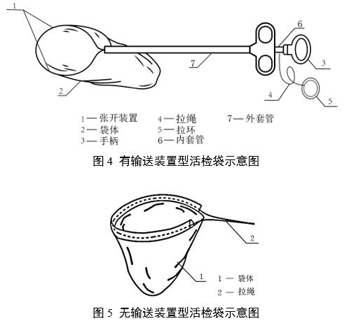 一次性使用內窺鏡用活檢袋注冊審查指導原則（2025年第20號）(圖4)