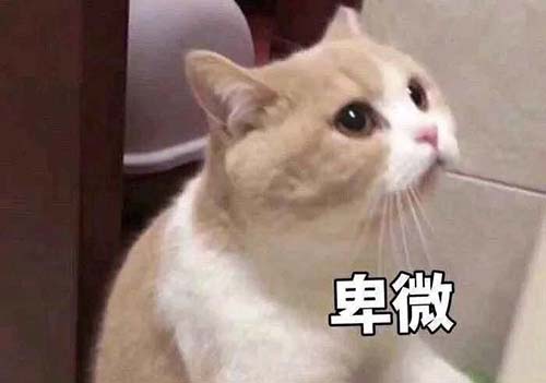 無經驗怎么入行CRA？入行CRA的硬性條件有哪些？(圖3)