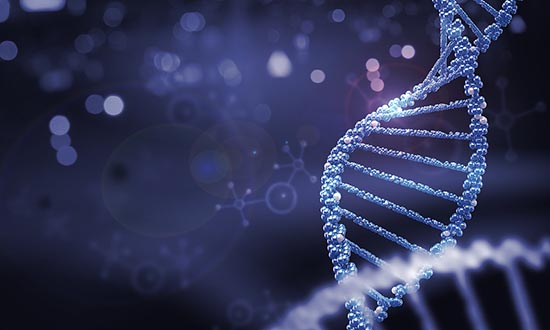 什么是Ⅰ期臨床研究？一文搞懂Ⅰ期臨床試驗(yàn)全過程(圖3)