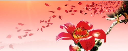 廣東注銷4個(gè)產(chǎn)品的醫(yī)療器械注冊證（2020年第60號）(圖1)