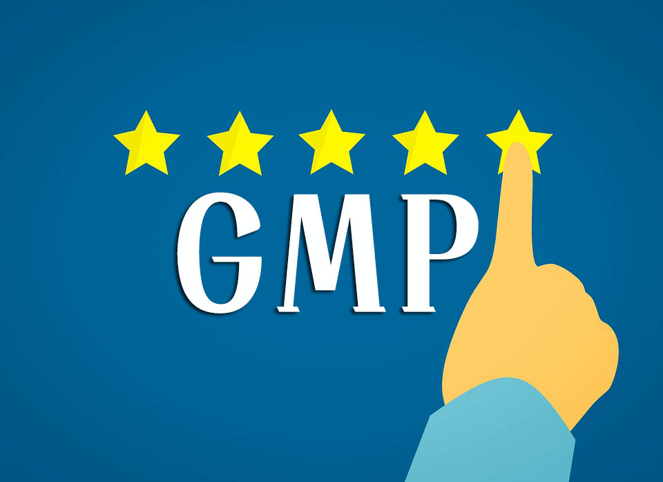 GMP知識手冊匯總（GMP專員、企業(yè)生產(chǎn)質(zhì)量負責人必備）(圖1)