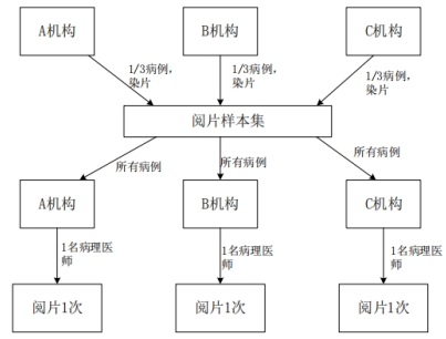 PD-L1檢測試劑臨床試驗(yàn)—結(jié)果重現(xiàn)性研究注冊審查指導(dǎo)原則（2022年第27號(hào)）(圖5)