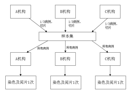 PD-L1檢測試劑臨床試驗(yàn)—結(jié)果重現(xiàn)性研究注冊審查指導(dǎo)原則（2022年第27號(hào)）(圖2)